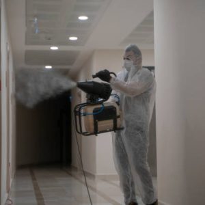 mice deratization bucharest ilfov basement ddd