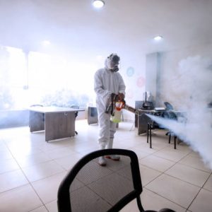 rats deratization bucharest ilfov ddd services disinsection disinfection