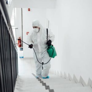 istockphoto 1266733593 612x612