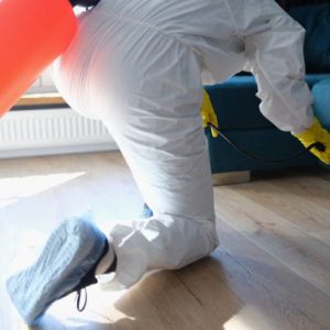 istockphoto 1404660617 612x612