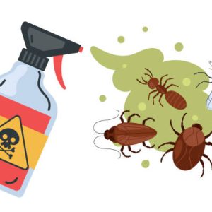 kitchen cockroach disinfestation bucharest